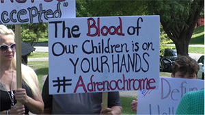 "Photo of a protest sign saying "The Blood of Our Children is on YOUR HANDS #Adrenochrome"