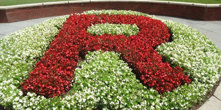 Photo of Rutgers "R" in the grass