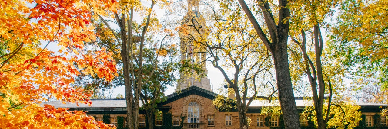 College Campus in the fall