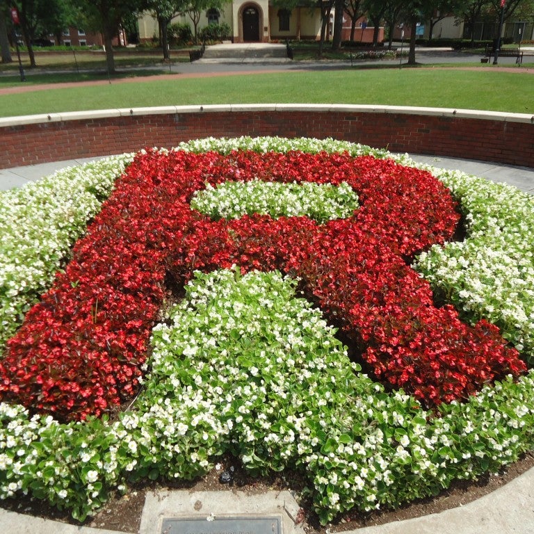Photo of Rutgers "R" in the grass