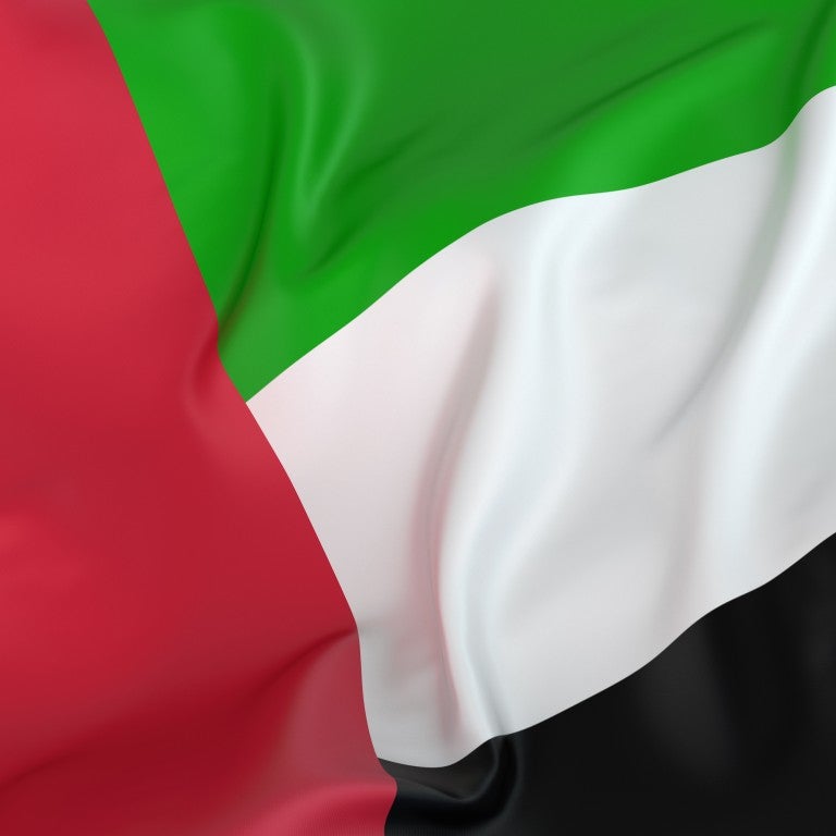 UAE Flag