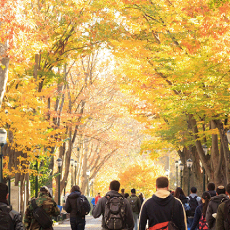 campus life