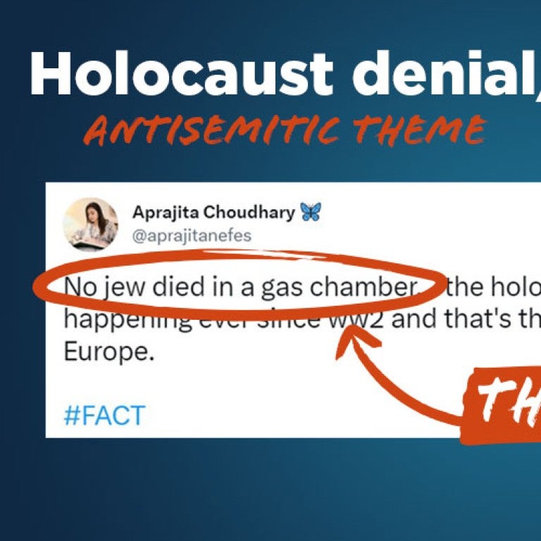 Holocaust denial/distortion - Why this is antisemitic - Translate Hate