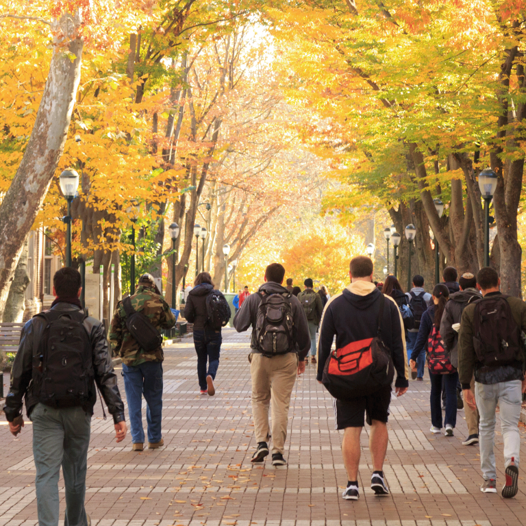 Photo of students on a college campus in the fall